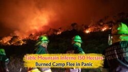 July 2025 Wildfire Disaster: Table Mountain Blaze Ravages 150 Hectares Faster Than Ever