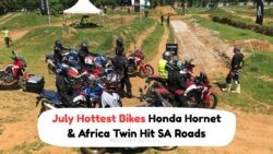 Excitement Builds as Honda's Hornet & Africa Twin Debut Mid-July with Unmatched Performance