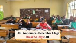 Get Ready for 51 Days of Summer Fun: SA Schools Begin Break on 10 December