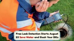 Starting August 23: Government Offers Free Water Leak Detection to Slash 35% Loss - Save Big!