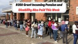 SASSA Grants: Mark Your Calendar for July 22 - Key R350 and Pension Payment Dates This Week!
